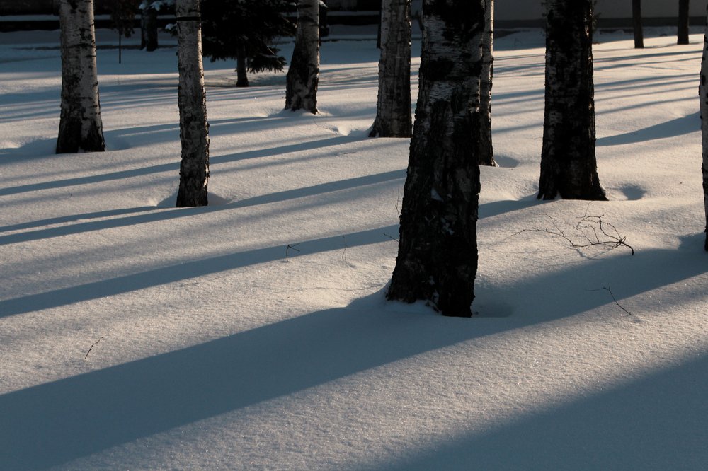 Photograph by Утёмов Сергей