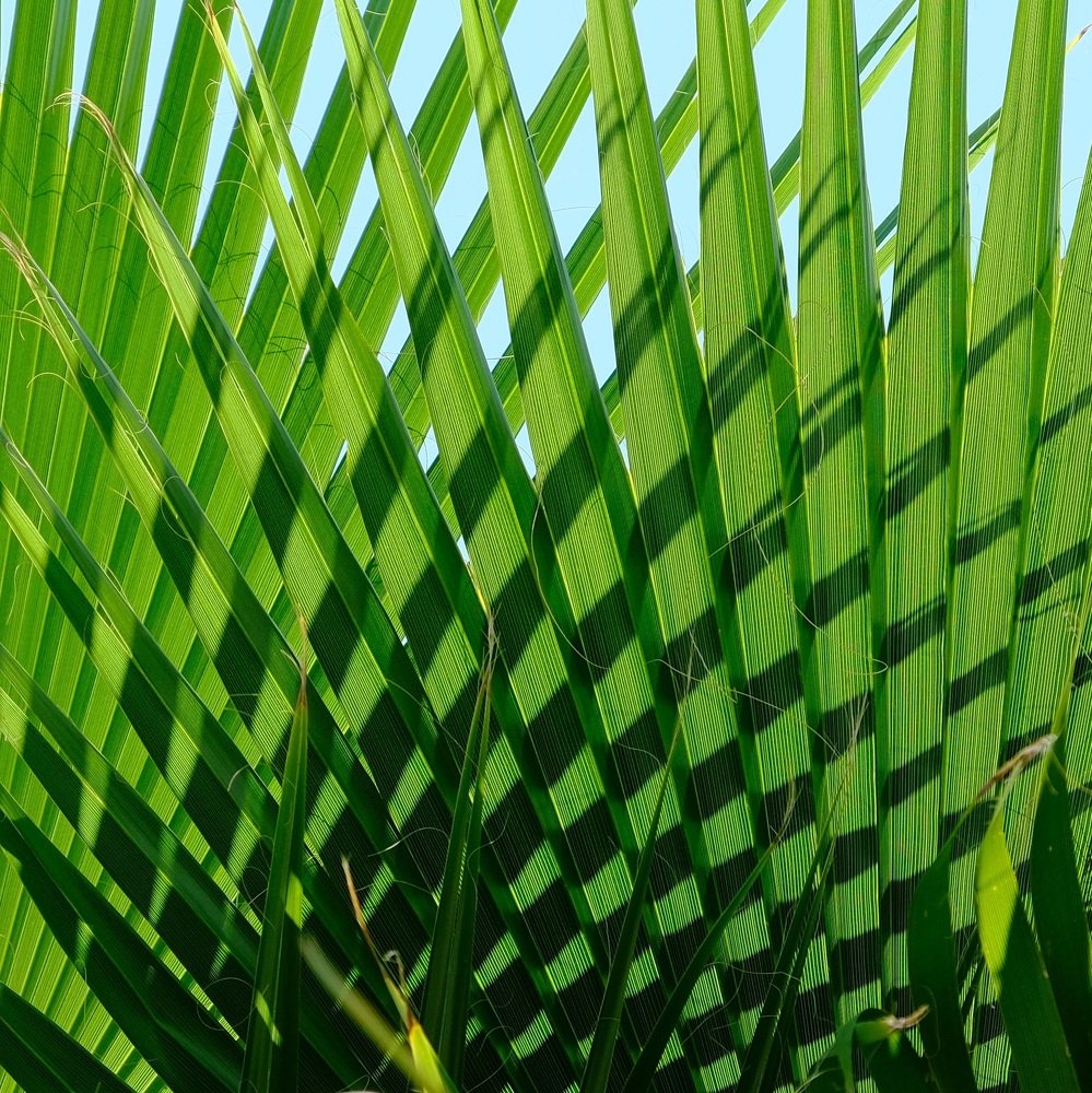 Photograph by Григорий Иванов