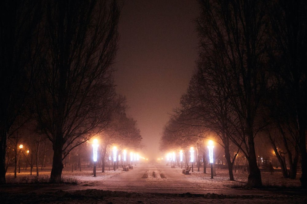 Photograph by Дмитрий Лепаков