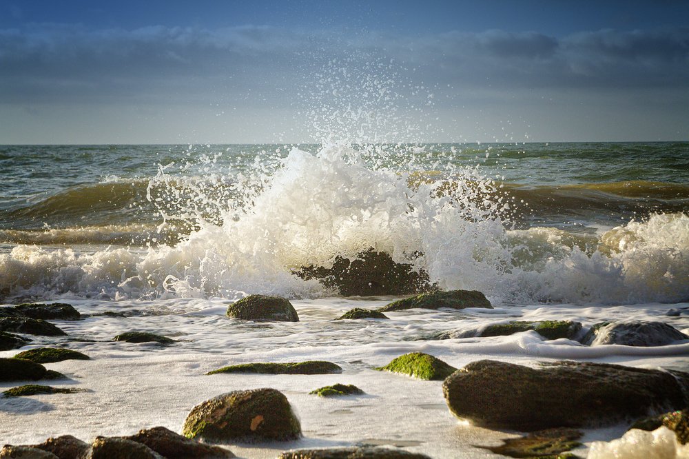 Photograph by Титаренко Ольга