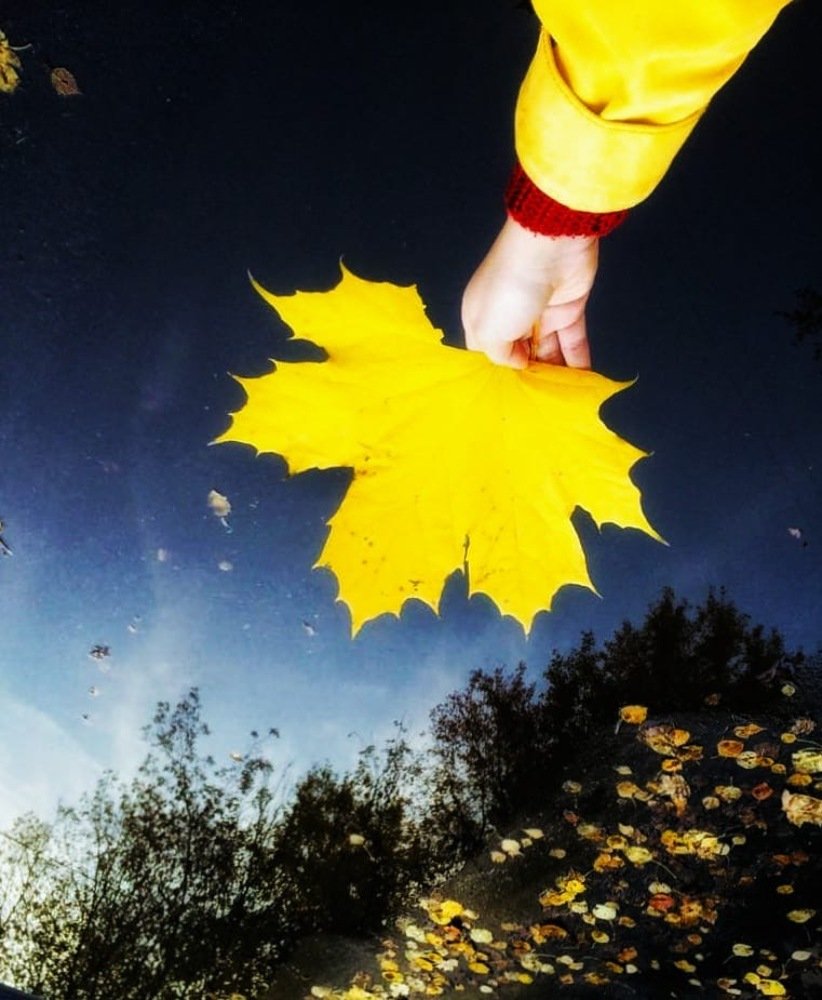 Photograph by Динара Агамова