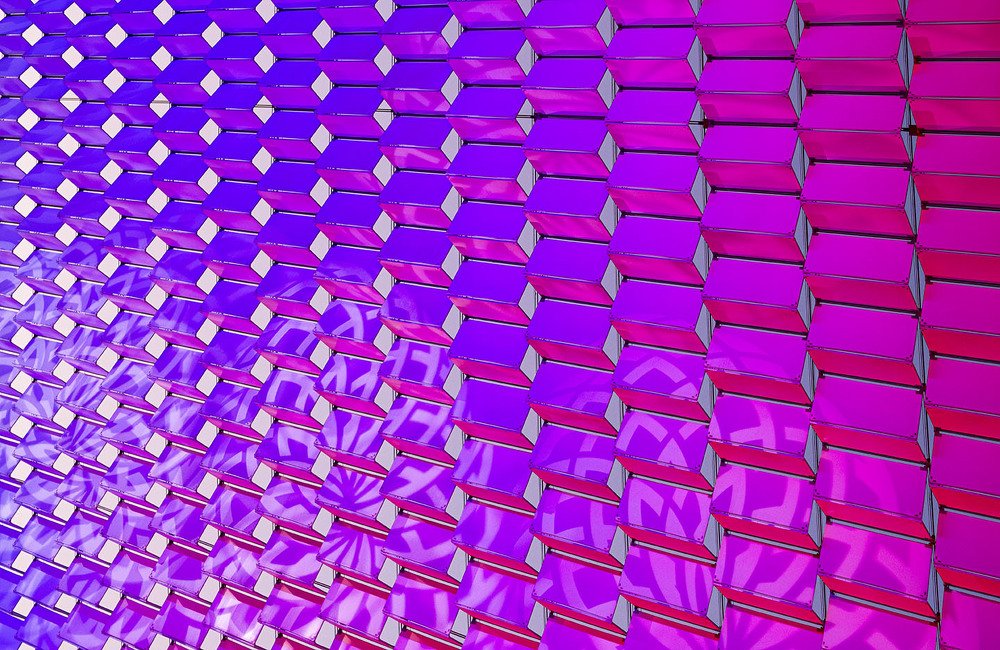 Photograph by Manjri Saxena