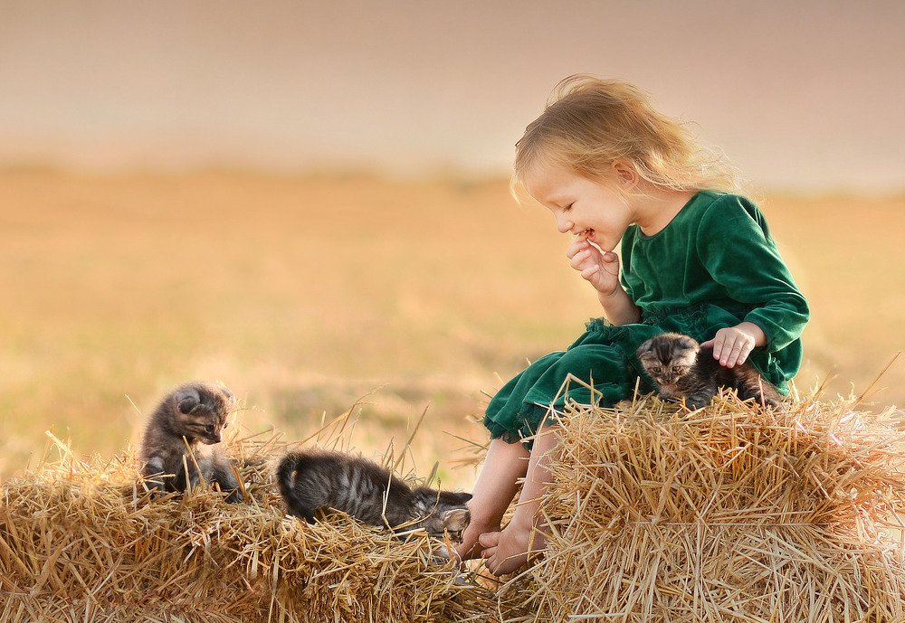 Photograph by Надежда Кураж