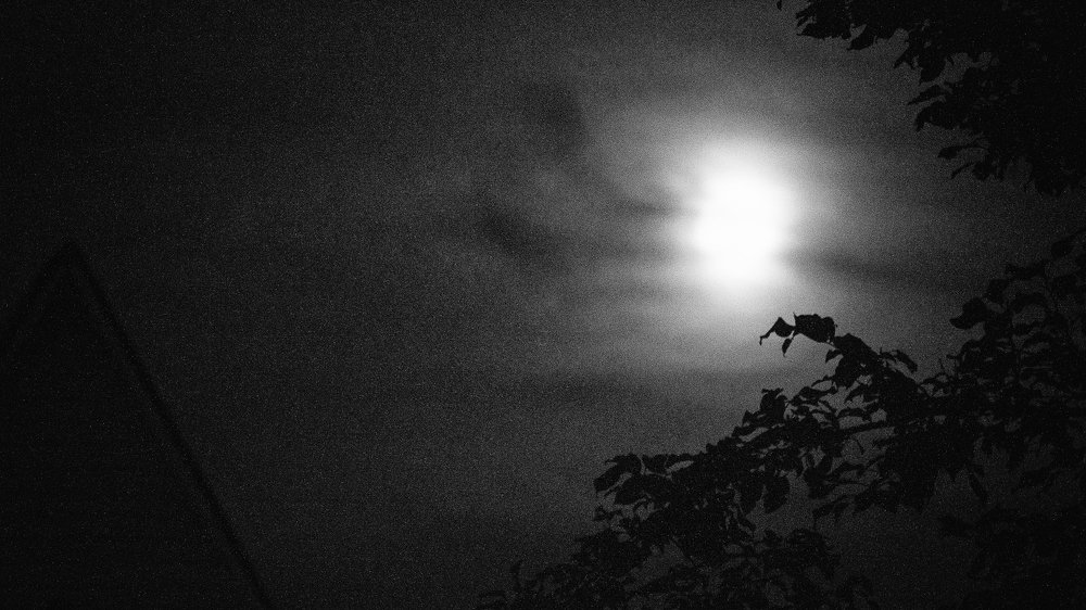 Фотография автора Роман Борисов