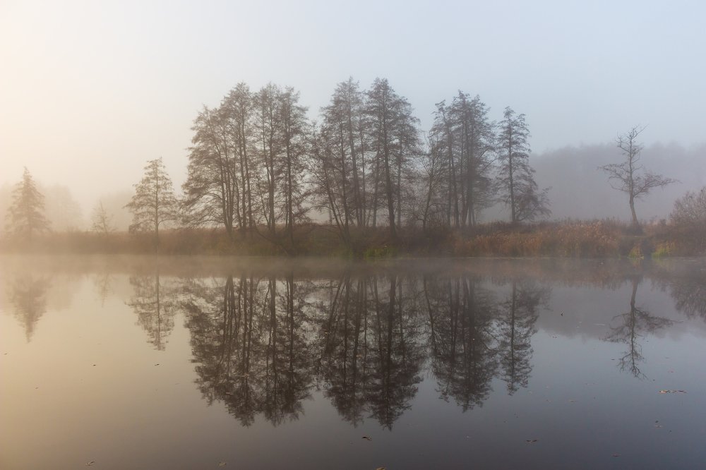 Фотография автора Руслан Востриков