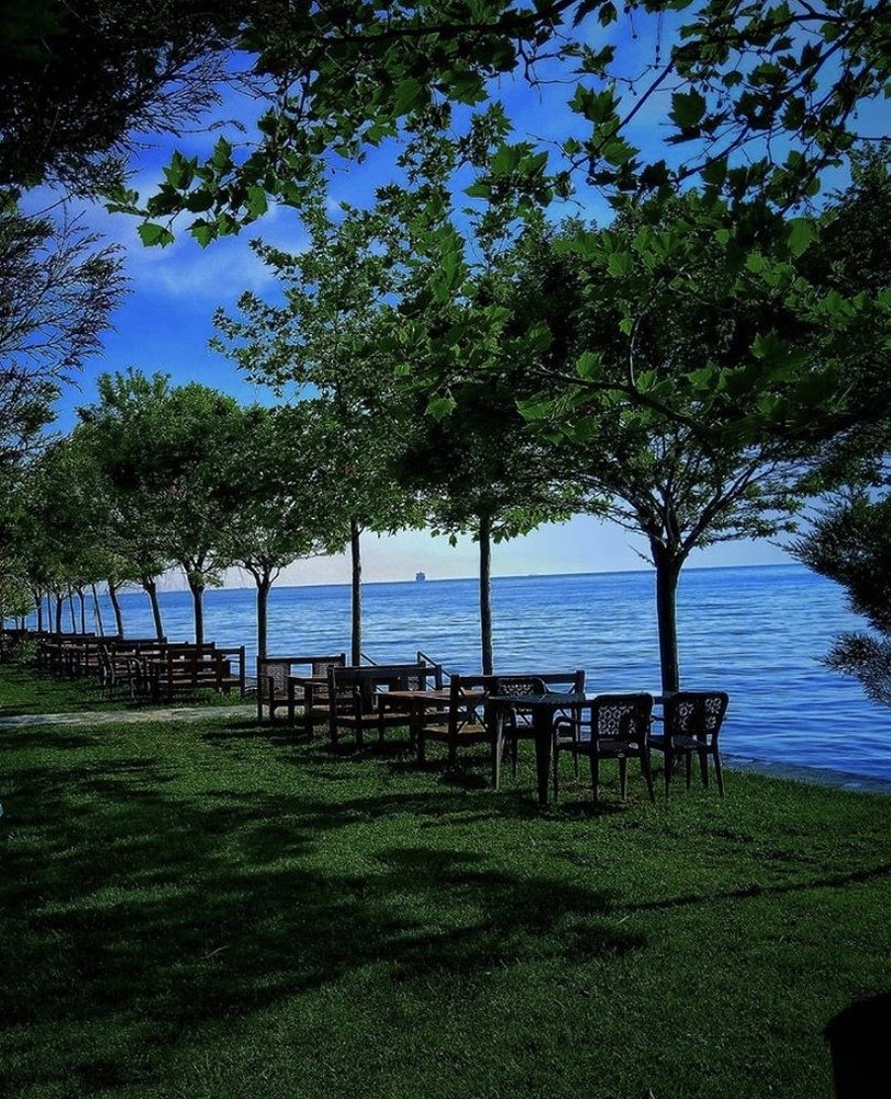 Photograph by Динара Агамова