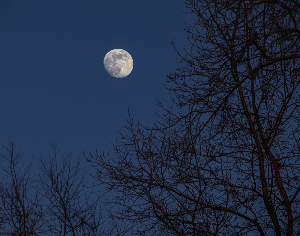 Photograph by миша