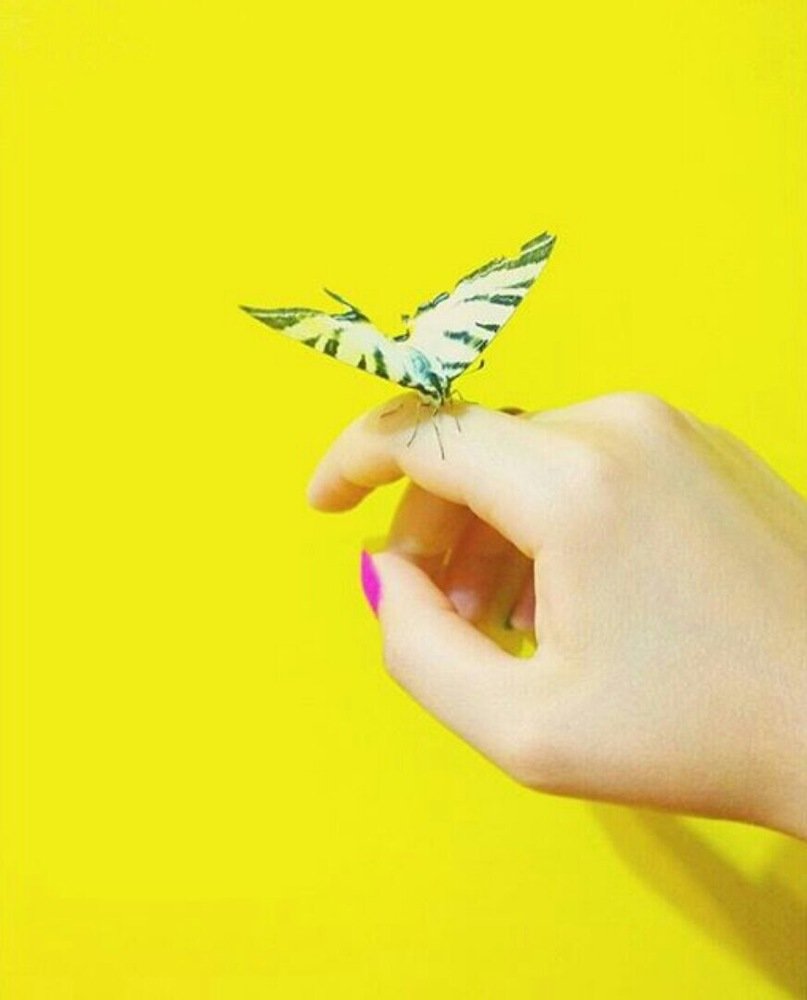 Photograph by Динара Агамова