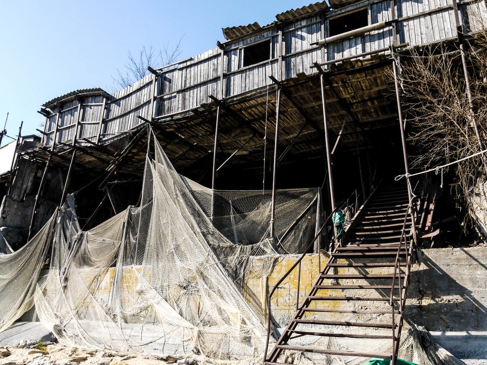 Photograph by Дмитрий Бартенев