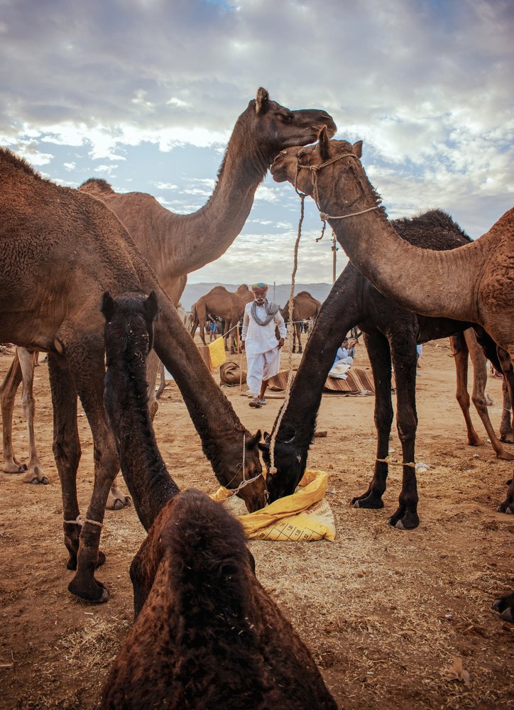 Photograph by Rahul saini