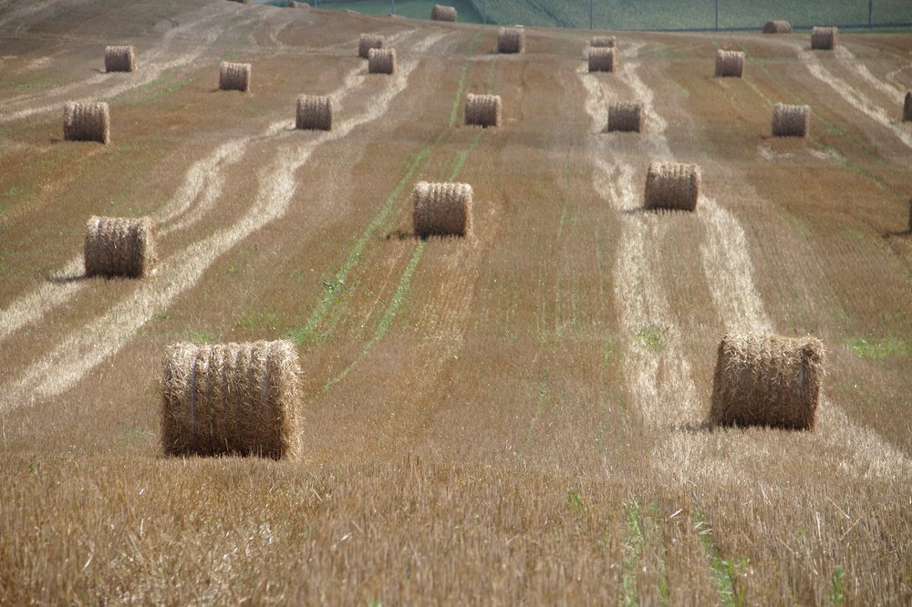 Photograph by Dzianis Mizhui