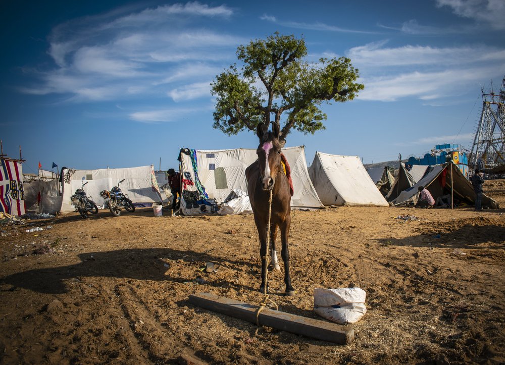 Photograph by Rahul saini