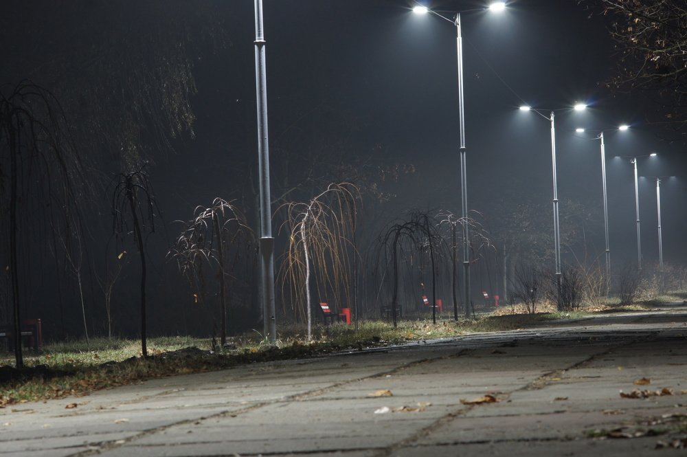 Фотография автора Дмитрий Градинар