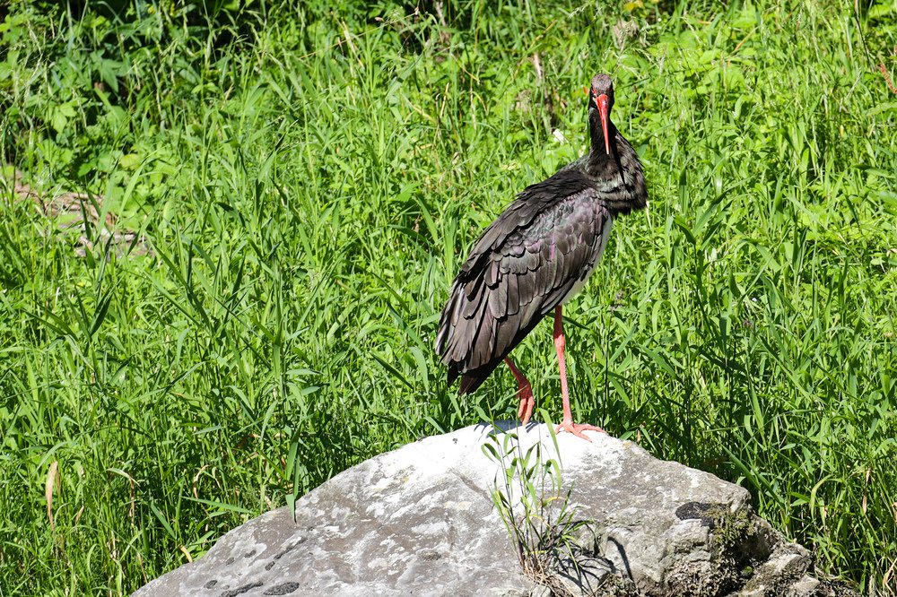 Photograph by Наталья Бондарева