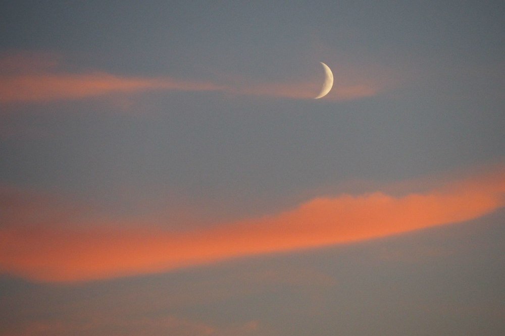 Без названия