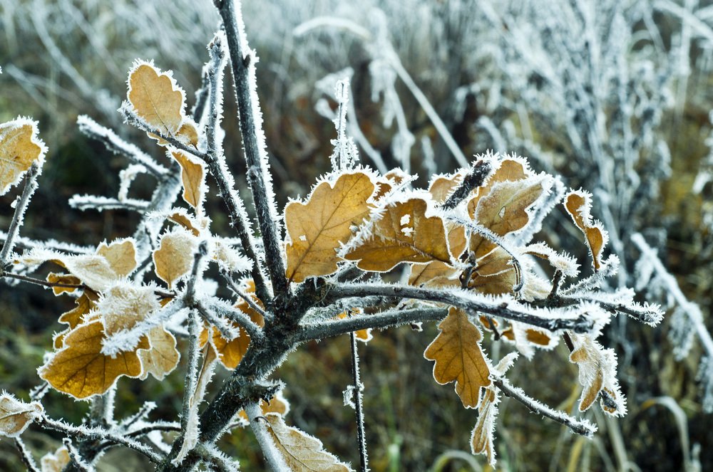 Photograph by Евгения Грачева