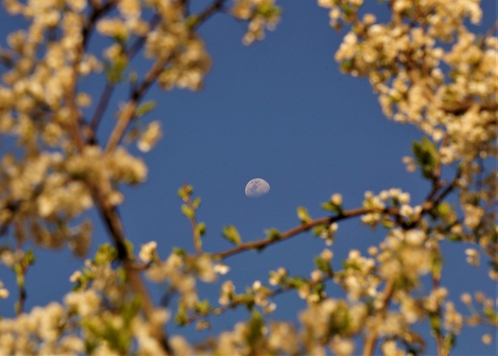 Photograph by Karina Elena Bergagna