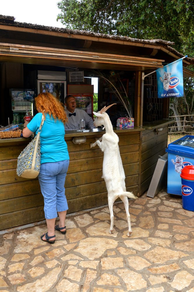 Photograph by Sandra Kazlauskiene