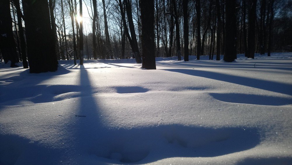 Фотография автора Марина Верина
