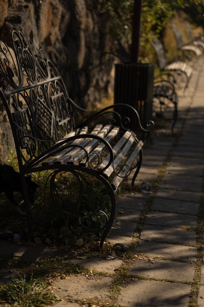 Фотография автора Марина Верина