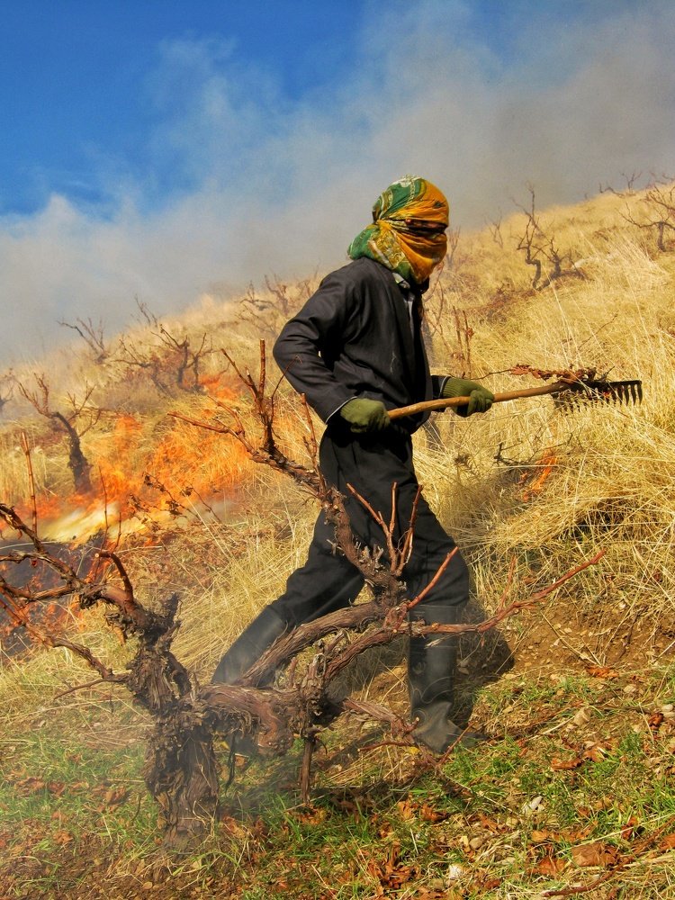 Fire is life or death
