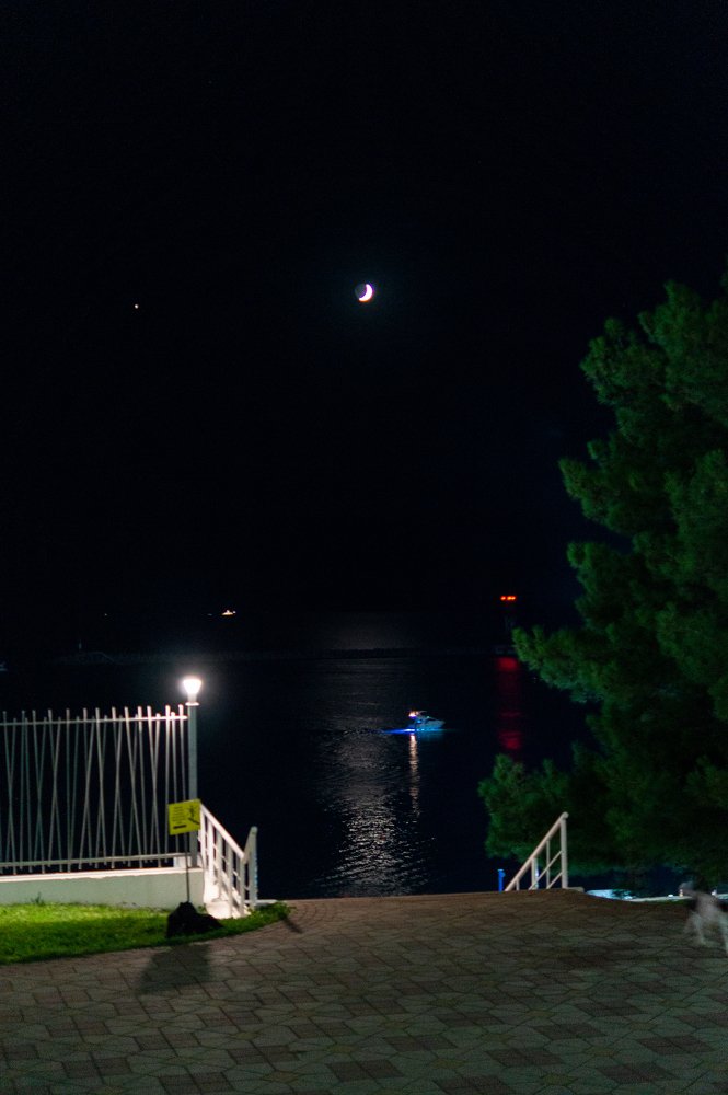 Photograph by Никита Колеганов