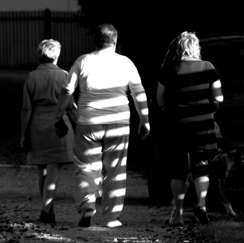 Тени от забора / Shadows from the fence