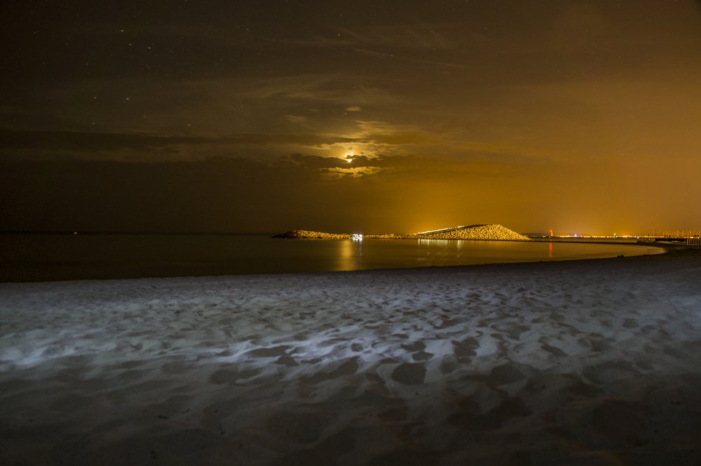 Photograph by Никита Колеганов