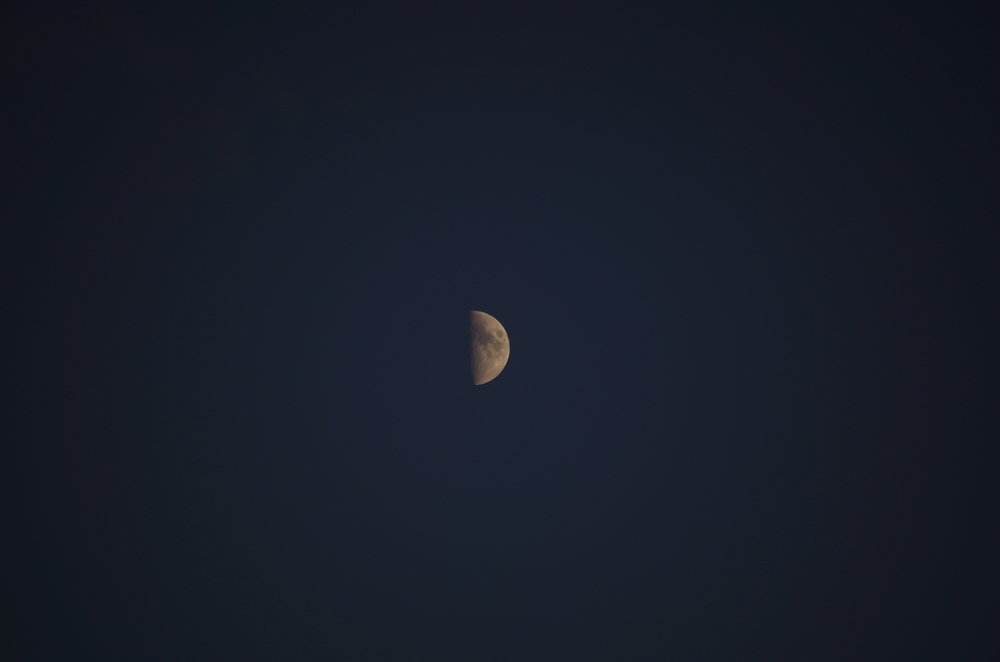 Фотография автора Марина Савчиц