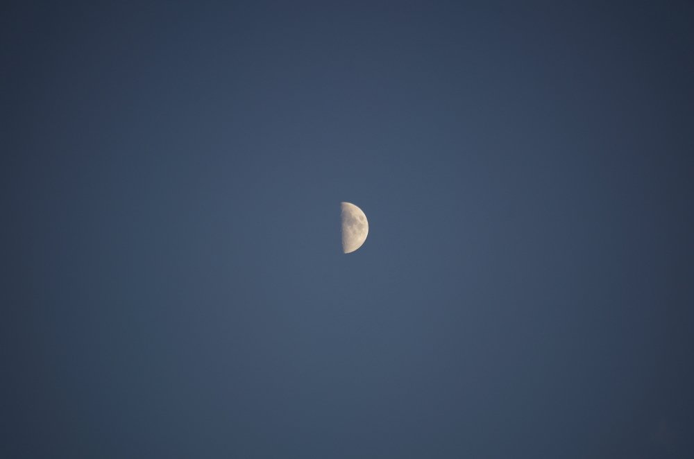 Фотография автора Марина Савчиц