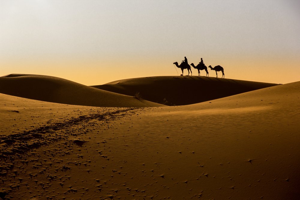 Photograph by Bruno Cruz