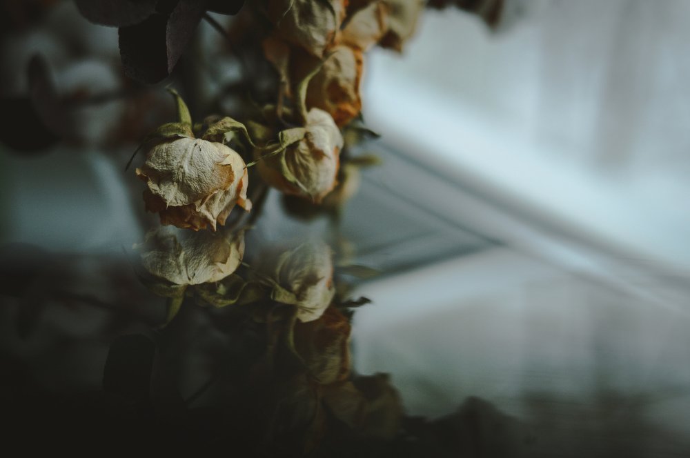 Photograph by Ксения Артемьева