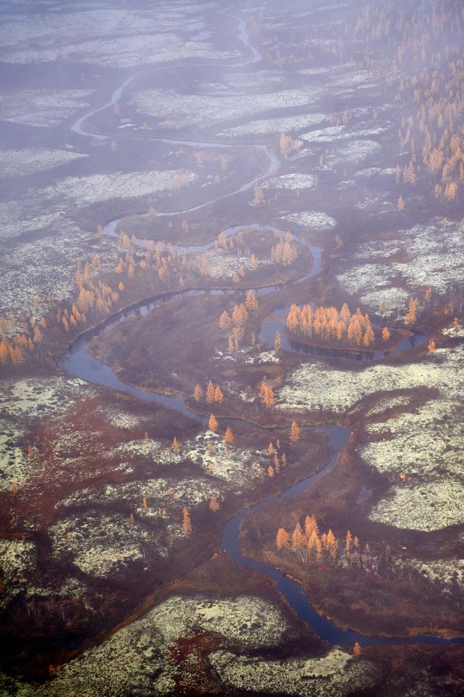 Извивающаяся река