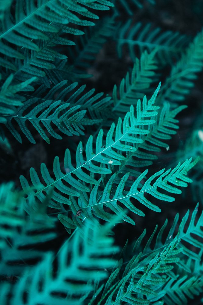 Фотография автора Алексей Новиков