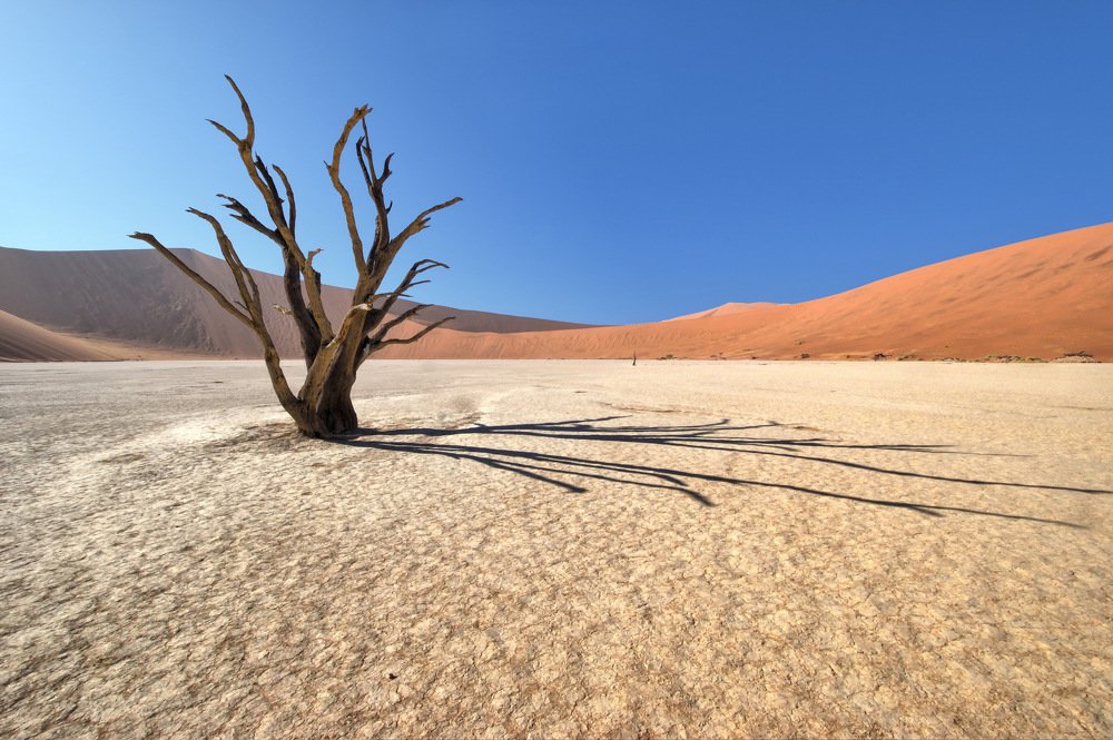 Deadvlei