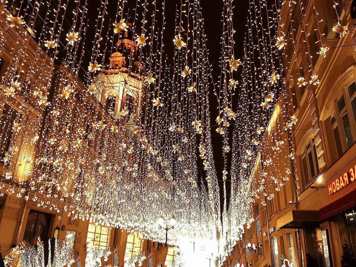 Photo #4006838