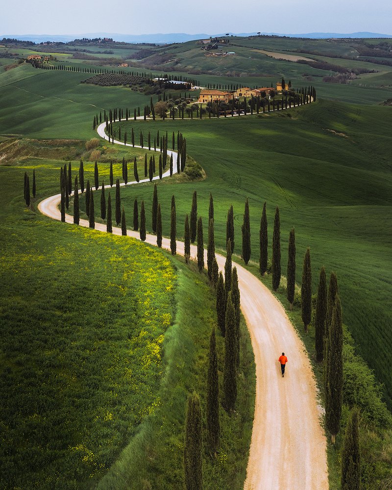 Tuscan curves