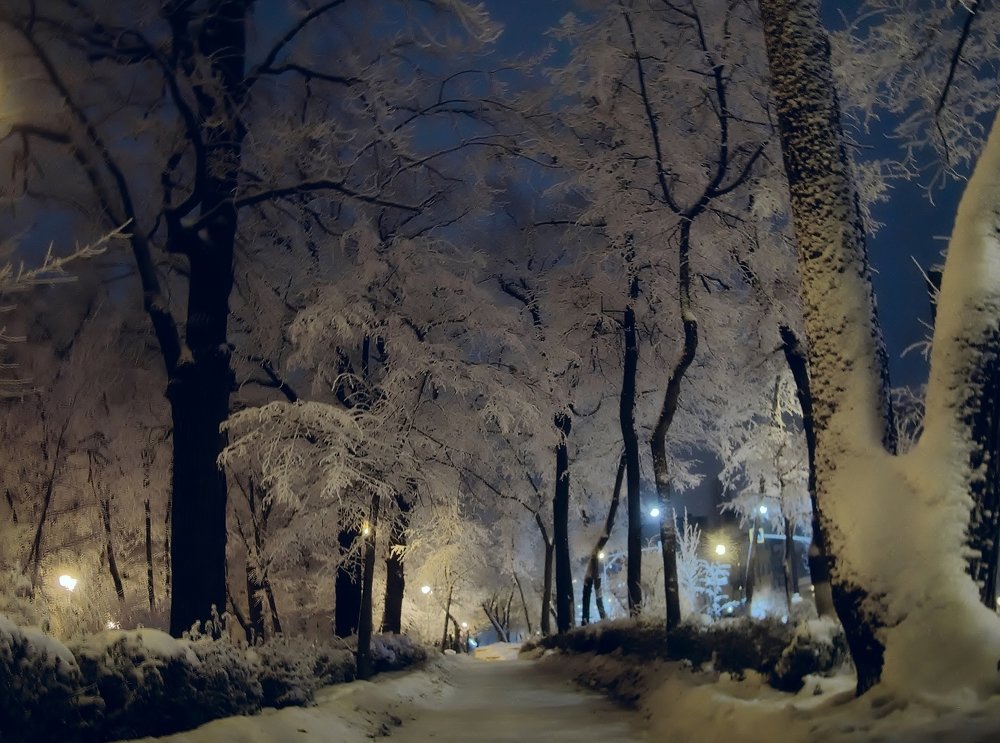 Photograph by 