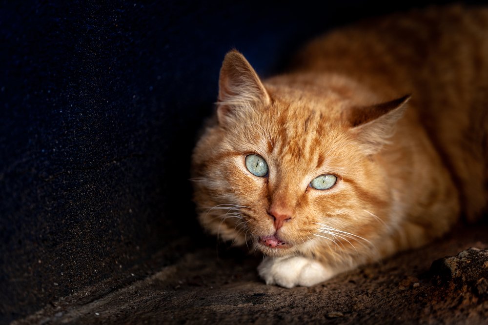 Photograph by Jose Luis Mendez Fernandez