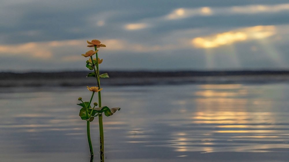 Photograph by Александр Пономарёв