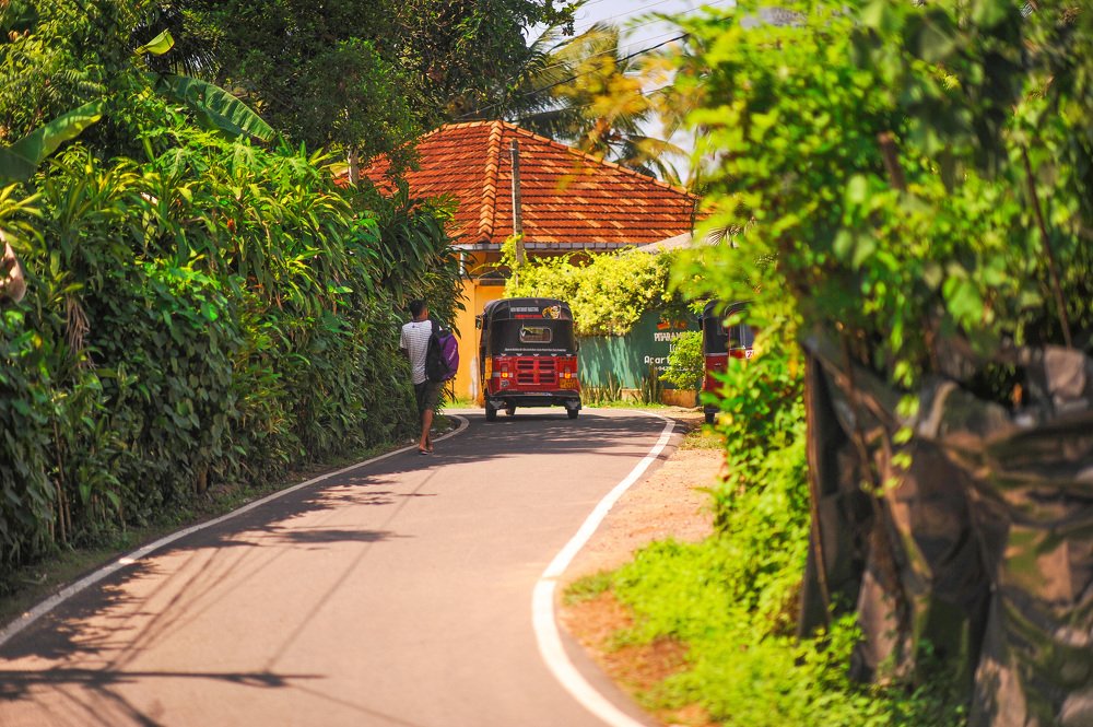 Photograph by Евгения Тимощенко