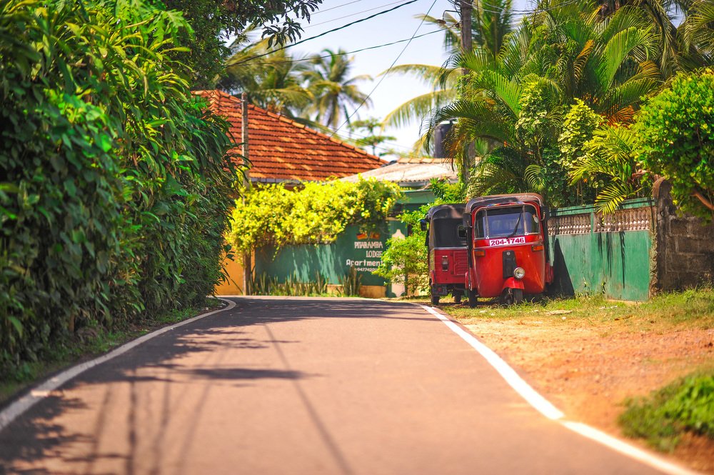 Photograph by Евгения Тимощенко