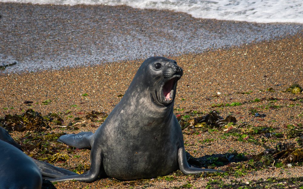 Фотография автора Андрей [Seencleyr] Чуяшенко