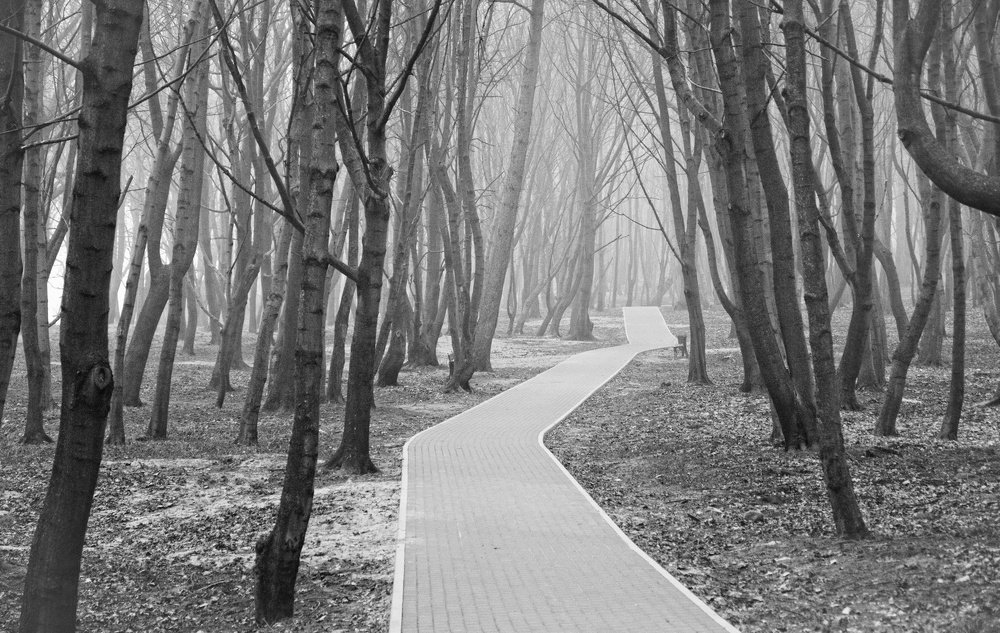 Photograph by Павел Кухоренко