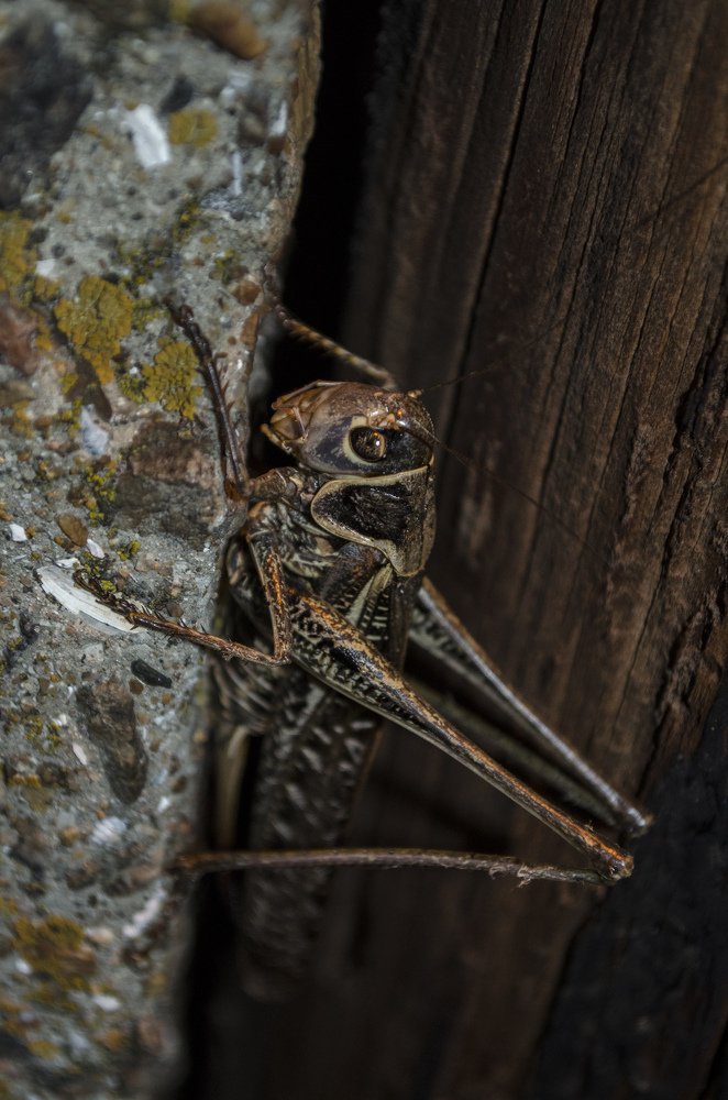 Photograph by Дмитрий