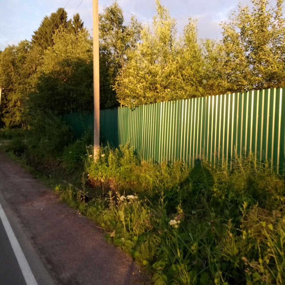 Photograph by нина кутчиева