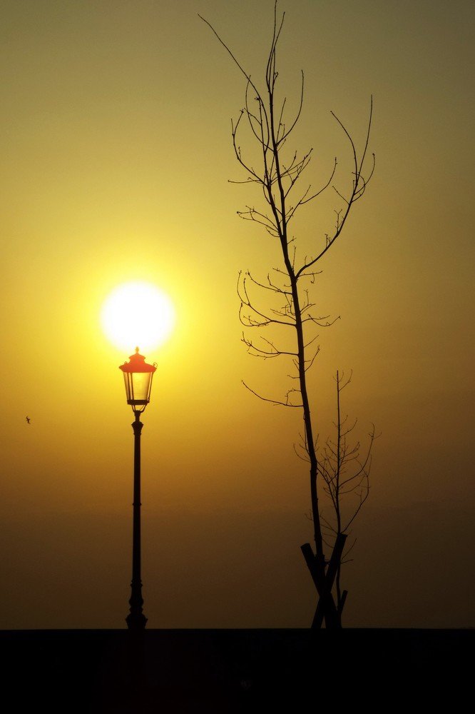 Фотография автора Виктор Конев