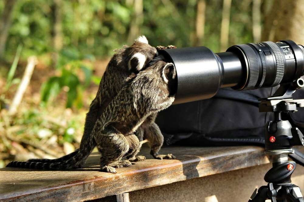 Photograph by Moura Denis