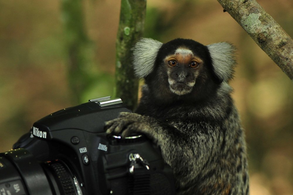 Photograph by Moura Denis