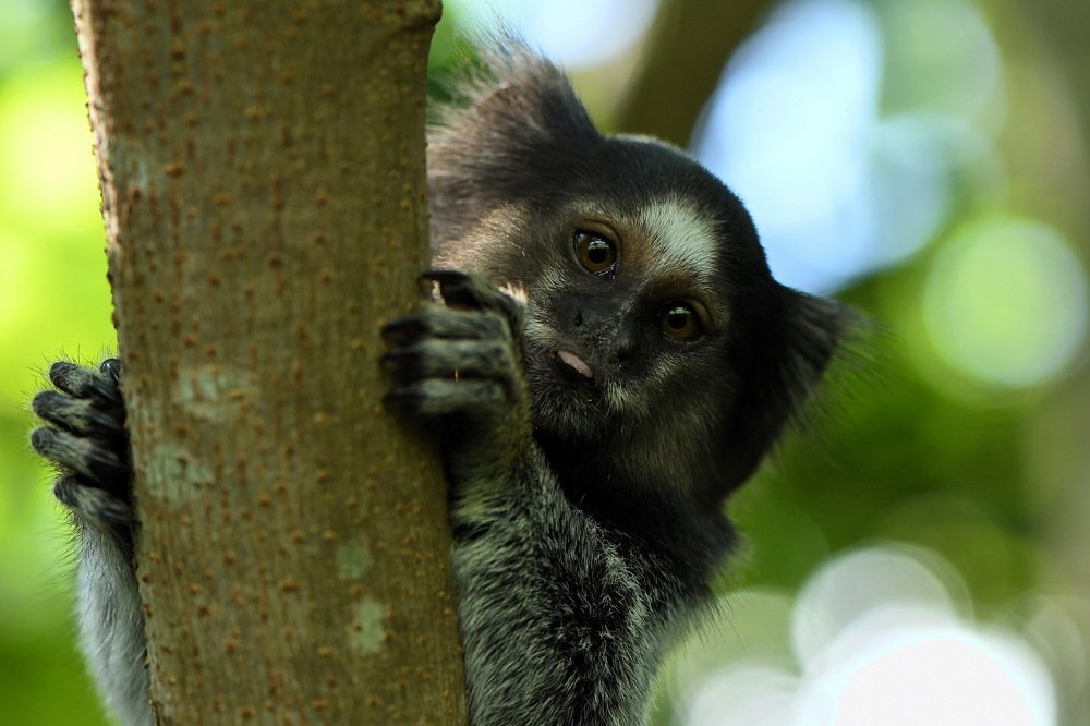 Photograph by Moura Denis